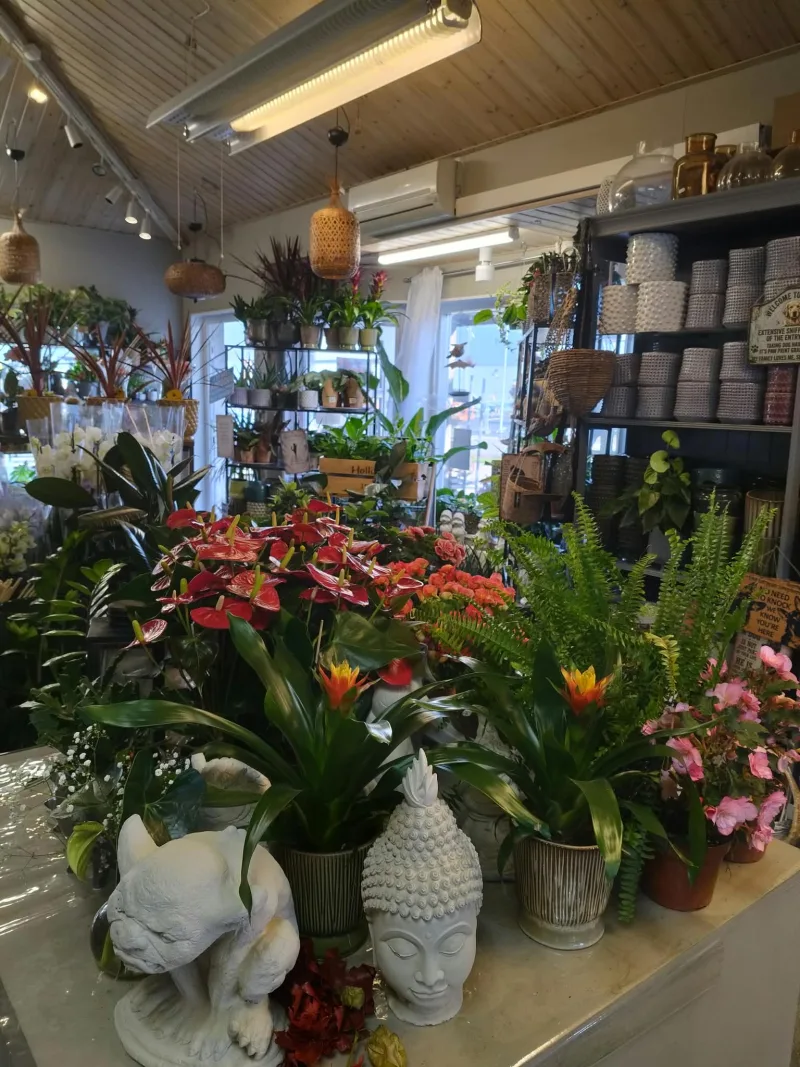 Blommor och floristiskt arrangemang i Beauty Flowers butik